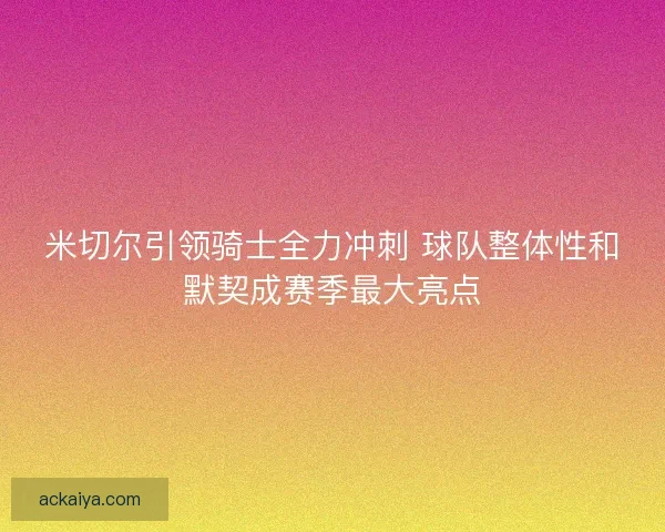 米切尔引领骑士全力冲刺 球队整体性和默契成赛季最大亮点