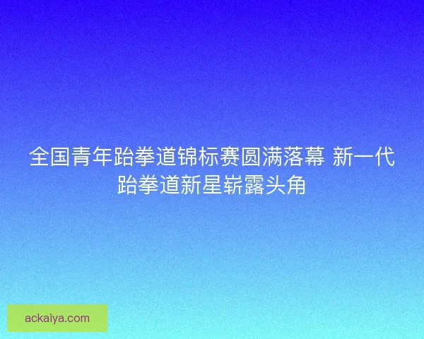 全国青年跆拳道锦标赛圆满落幕 新一代跆拳道新星崭露头角